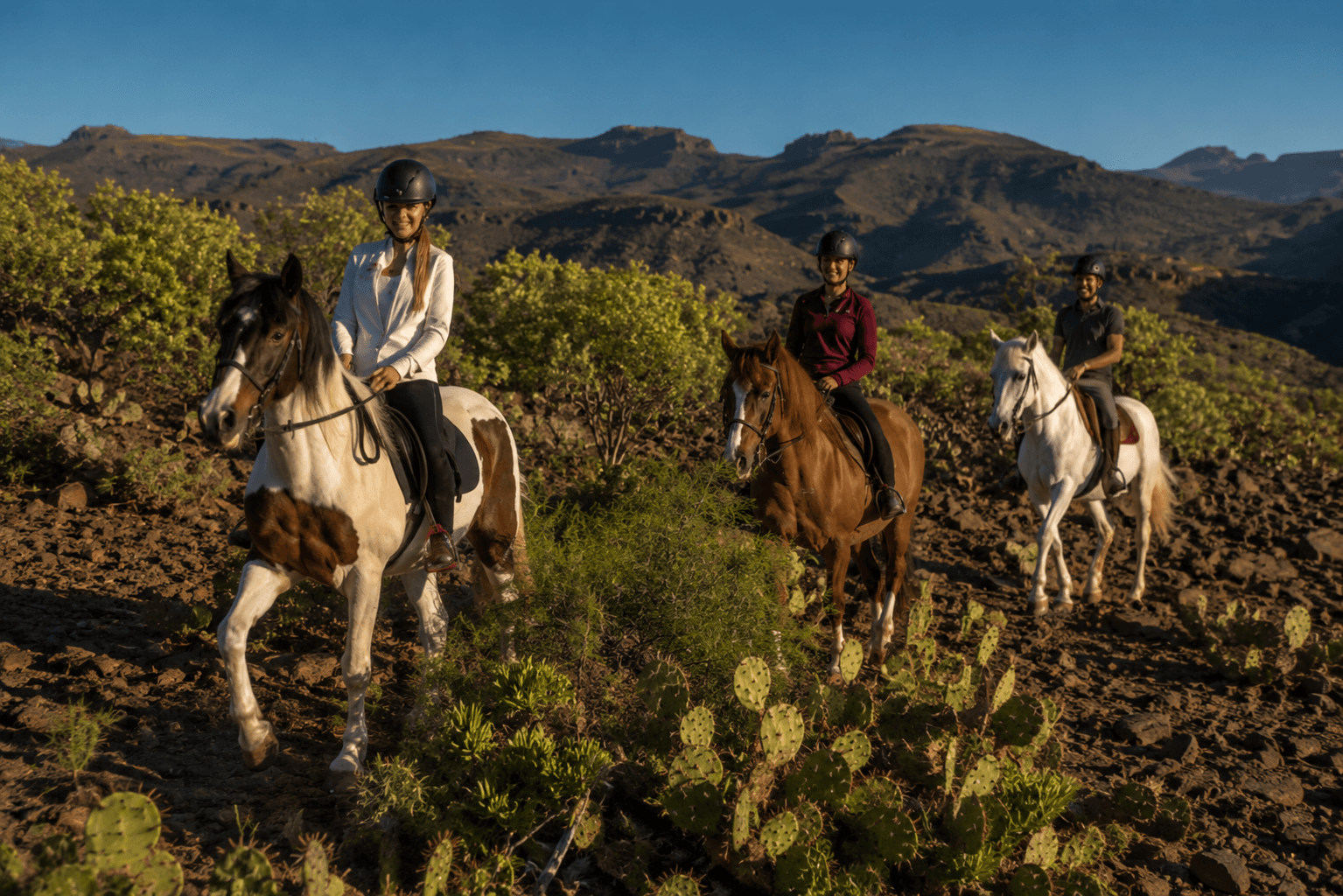 Paseo a Caballo - Gran Canaria - 1 hora